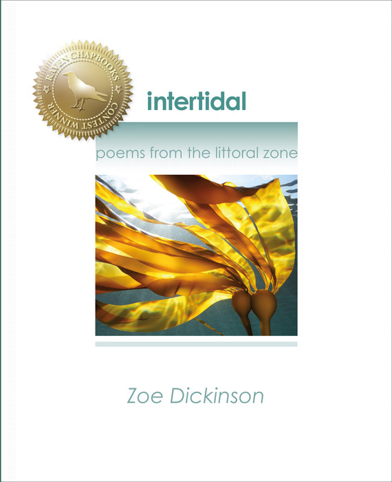 cover of chapbook intertidal: poems from the littoral zone